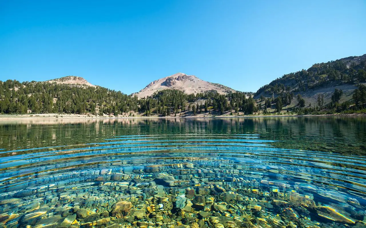 创意自动化绿色